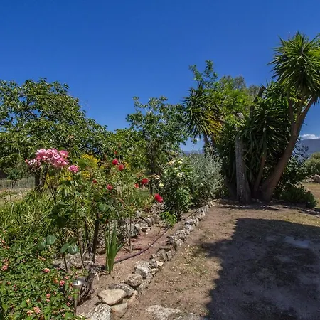 L'aghjalle * Santa-Reparata-di-Balagna