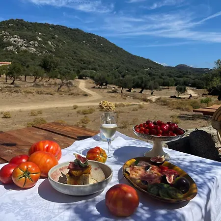 Bed & Breakfast L'aghjalle Santa-Reparata-di-Balagna