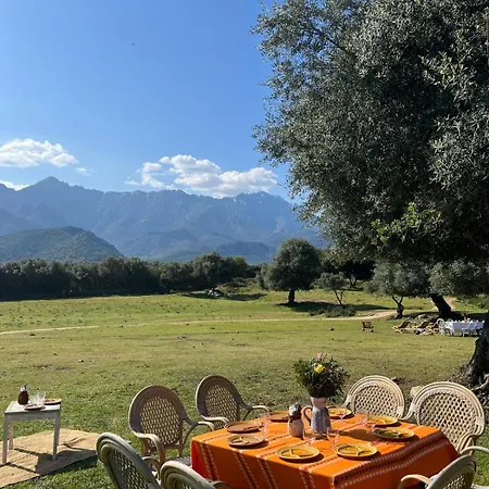 L'aghjalle * Santa-Reparata-di-Balagna
