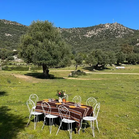 L'aghjalle *