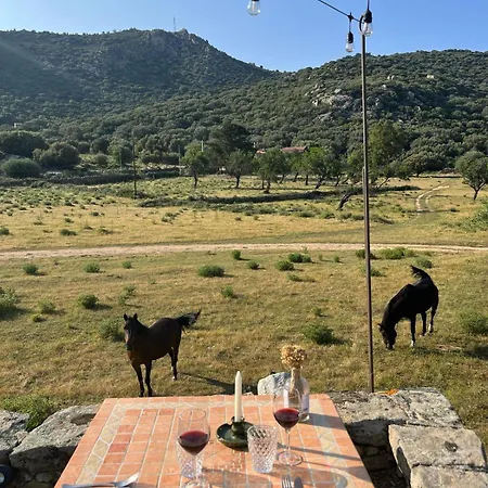 L'aghjalle *