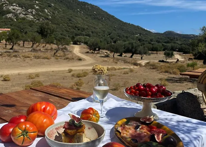 Bed & Breakfast L'aghjalle Santa-Reparata-di-Balagna