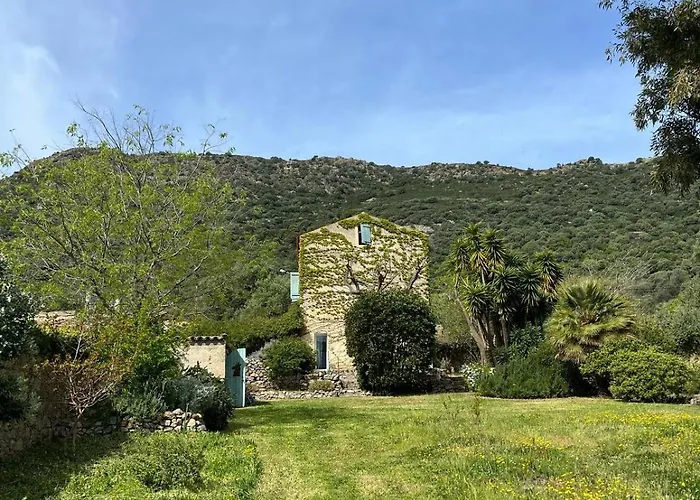 Bed & Breakfast L'aghjalle 3*